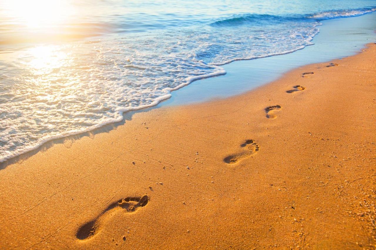Luxury Beachfront Penthouse Walk To The Beach Restaurants Entertainment Half Moon Bay Zewnętrze zdjęcie